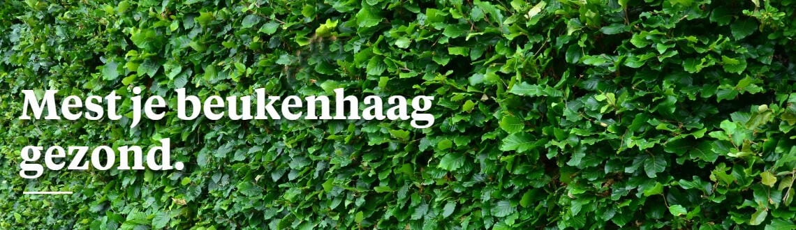 [paste advice page name here]